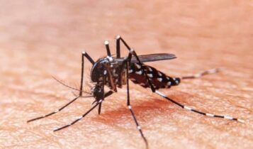 Sergipe já registrou 2.718 casos de dengue e 2.414 de Chikungunya Sergipe já registrou 2.718 casos de dengue e 2.414 de Chikungunya