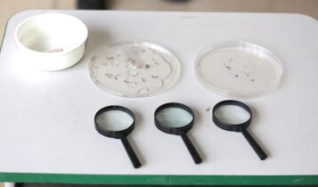 Conheça os sintomas da dengue, chikungunya e zika Conheça os sintomas da dengue, chikungunya e zika