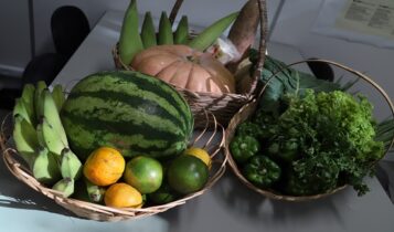 Seduc lança chamada para projeto de regionalização da alimentação