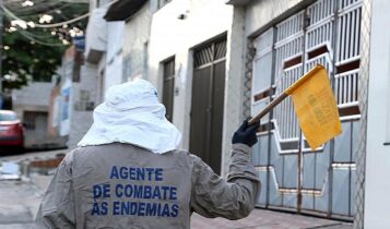 Ações municipais ajudam a reduzir infestação pelo Aedes aegypti