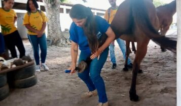 Senar abre inscrições para nova turma do Senar Jovem em Equinocultura