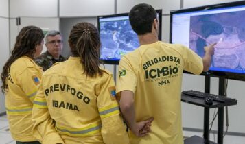 Ibama publica editais para as Brigadas Federais de Incêndios