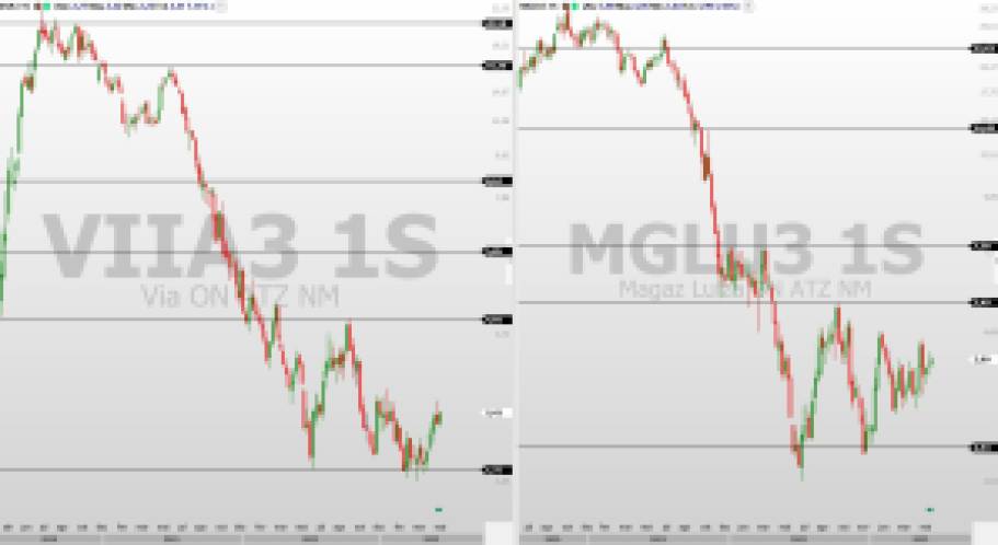 Investir em MGLU3 ou VIIA3? Confira o que esperar a partir da análise das ações das varejistas
