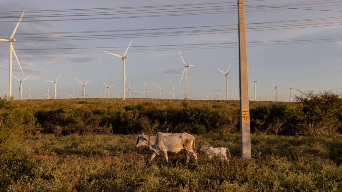 Com energia limpa abundante, Brasil mira mercado de exportação de hidrogênio verde