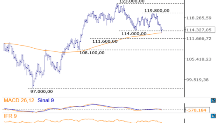 Vale (VALE3), bancos e varejo puxam alta da Bolsa; Petrobras (PETR4) e Gerdau (GGBR4) caem