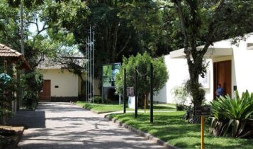 Instituto da Mata Atlântica tem vagas para pesquisador e tecnologista