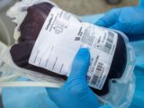 Hemose convoca doadores para reposição de todos os grupos sanguíneos