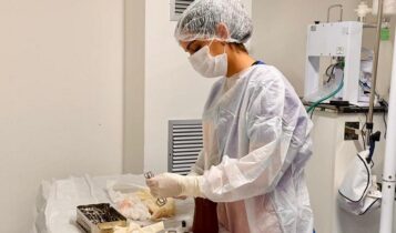 Credenciamento de clínicas veterinárias encerra na sexta-feira, 22 Credenciamento de clínicas veterinárias encerra na sexta-feira, 22