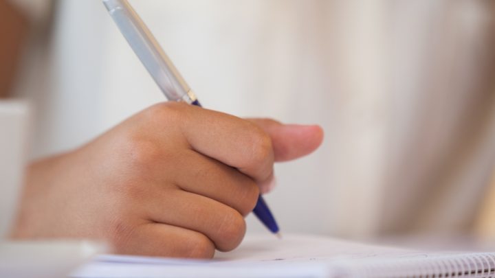Ifal seleciona professores substitutos para quatro campi